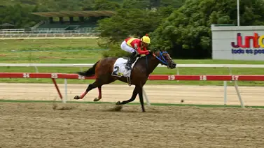 La amenaza del 'ajuste cómodo': Este ejemplar se alista para tumbar a un gran favorito La amenaza del 'ajuste cómodo': Este ejemplar se alista para tumbar a un gran favorito