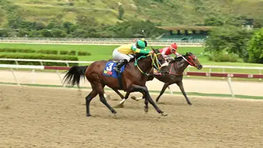 En carrera de muchos datos este ejemplar ajusta cómodo y venderá cara su derrota en la R38 En carrera de muchos datos este ejemplar ajusta cómodo y venderá cara su derrota en la R38