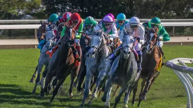 La yunta venezolana de Emisael Jaramillo y José F D’Angelo buscan su primera prueba Grado 1 en Estados Unidos La yunta venezolana de Emisael Jaramillo y José F D’Angelo buscan su primera prueba Grado 1 en Estados Unidos