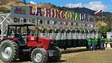 El mejor ajuste del miércoles: La razón por la que este favorito es imperdible en las no válidas