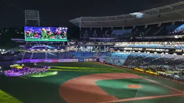 ¿Cuánto tendrá que pagar el fanático? Los Leones del Caracas revelan sus abonos ¿Cuánto tendrá que pagar el fanático? Los Leones del Caracas revelan sus abonos