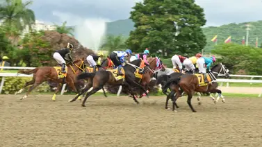 Favoritos de la cátedra para el 5y6 Nacional de la reunión N°38 en el hipódromo La Rinconada