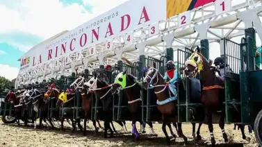 MeridianoBet recompensa tu 5y6: Disfruta del Cashback del 5% en tus tickets hípicos MeridianoBet recompensa tu 5y6: Disfruta del Cashback del 5% en tus tickets hípicos