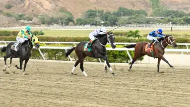 Descubre aquí el ejemplar que supera en dividendo a Base Armador y El Gran Solinero para la R38 Descubre aquí el ejemplar que supera en dividendo a Base Armador y El Gran Solinero para la R38