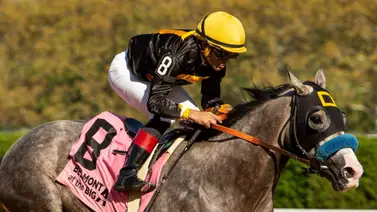 Nieto de Scat Daddy gana el Champagne Stakes (G1) y se lleva el cupo para la Breeders’ Cup Juvenile