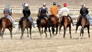Estos son los retirados de la Reunión N°38 en La Rinconada 05-10-2025 Estos son los retirados de la Reunión N°38 en La Rinconada 05-10-2025