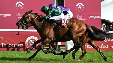 ¡Batacazo épico en París! Daryz gana el Arco del Triunfo de Longchamp en un final dramático ¡Batacazo épico en París! Daryz gana el Arco del Triunfo de Longchamp en un final dramático