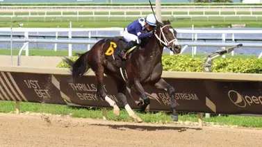 ¡Orgullo patrio en Gulfstream Park! Jaramillo y Barboza Jr. celebran una victoria con sabor a sorpresa