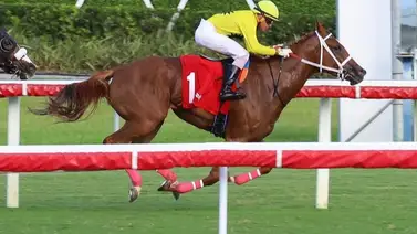 Richard Bracho cierra con victoria el programa de Gulfstream Park que se llevó a cabo este domingo Richard Bracho cierra con victoria el programa de Gulfstream Park que se llevó a cabo este domingo