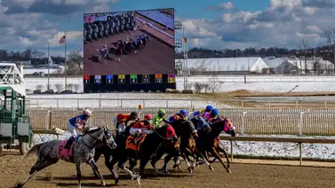 Este sábado llega el Maryland Million Day con ocho stakes en Laurel Park Este sábado llega el Maryland Million Day con ocho stakes en Laurel Park