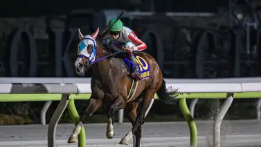 Natural Rise intentará convertirse en el primer caballo en completar la Triple Corona Dirt Natural Rise intentará convertirse en el primer caballo en completar la Triple Corona Dirt