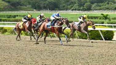 Sanción en La Rinconada: Revelan el motivo de la multa al jinete aprendiz Sanción en La Rinconada: Revelan el motivo de la multa al jinete aprendiz