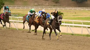 Mira lo que le ocurrió al "Dato Fijo" más comentado del 5y6 en La Rinconada Mira lo que le ocurrió al "Dato Fijo" más comentado del 5y6 en La Rinconada