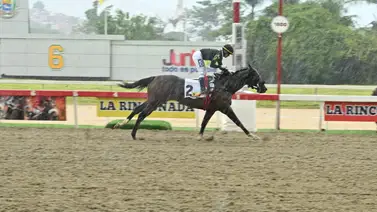 Fleet Street tratará de unir partida con llegada en el VI Clásico Virgilio Decán (GI) en La Rinconada Fleet Street tratará de unir partida con llegada en el VI Clásico Virgilio Decán (GI) en La Rinconada