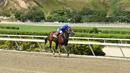 La Rinconada recibe a una estrella: Regresa la campeona dosañera de la temporada pasada