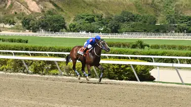 La Rinconada recibe a una estrella: Regresa la campeona dosañera de la temporada pasada La Rinconada recibe a una estrella: Regresa la campeona dosañera de la temporada pasada