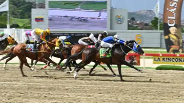 El caballo que fue el robo de toda Venezuela pero que un tropiezo le impidió ganar está de regreso en La Rinconada El caballo que fue el robo de toda Venezuela pero que un tropiezo le impidió ganar está de regreso en La Rinconada