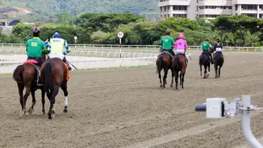 Impacto importado: Potro con pedigrí sobresaliente debuta en La Rinconada y sus ejercicios previos dicen que es muy veloz Impacto importado: Potro con pedigrí sobresaliente debuta en La Rinconada y sus ejercicios previos dicen que es muy veloz