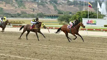 La Triple Coronada Mi Querida Emma está de regreso y ahora en nueva cuadra La Triple Coronada Mi Querida Emma está de regreso y ahora en nueva cuadra