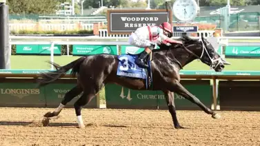 Bentornato entrenado por José Francisco D’Angelo será negociado en las subastas de Keeneland Bentornato entrenado por José Francisco D’Angelo será negociado en las subastas de Keeneland