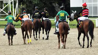 Retiro confirmado de un ejemplar fijo en el 5y6 dominical en La Rinconada Retiro confirmado de un ejemplar fijo en el 5y6 dominical en La Rinconada