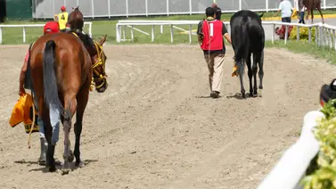 Atención: Entérate del retiro de una de las favoritas para el ciclo no válido de la R39