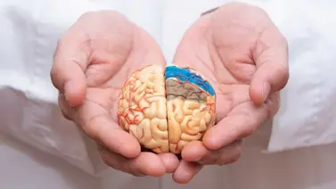 Científicos descubren cómo revertir el alzhéimer en ratones con nanopartículas