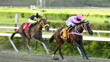 Así quedó el ajuste decisivo de la gran opción de Gaceta Hípica que será el as bajo la manga para el 5y6 Así quedó el ajuste decisivo de la gran opción de Gaceta Hípica que será el as bajo la manga para el 5y6