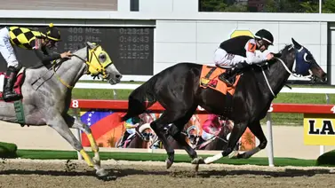 Mira esto: Entérate del ajuste de una sorpresa de Gaceta Hípica que podría definir su victoria en el 5y6 dominical Mira esto: Entérate del ajuste de una sorpresa de Gaceta Hípica que podría definir su victoria en el 5y6 dominical