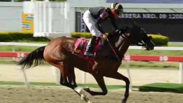 Con el mejor remate del miércoles de esta yegua buscará triunfar en el ciclo no válido de la R39