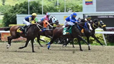 A esta hora: Aquí te damos la información más "regada" para la tercera válida del 5y6 de la R39 A esta hora: Aquí te damos la información más "regada" para la tercera válida del 5y6 de la R39