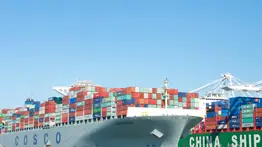 OMC Prevé crecimiento del comercio de bienes del 2.4% en 2025 a pesar de los desafíos arancelarios