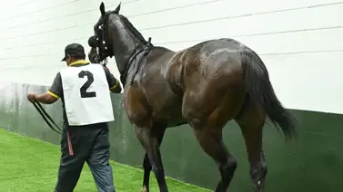 Antes de sellar: Conoce el ajuste de la que es considerada como la línea nacional para el 5y6 de La Rinconada Antes de sellar: Conoce el ajuste de la que es considerada como la línea nacional para el 5y6 de La Rinconada