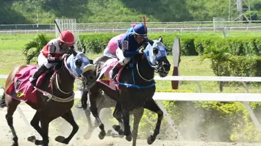 Alerta: En la segunda válida para el 5y6 hay un ejemplar que se destacó con un ajuste contenido Alerta: En la segunda válida para el 5y6 hay un ejemplar que se destacó con un ajuste contenido