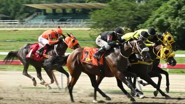 Lo que todos esperan: Te revelamos a esta hora a los ejemplares con más fortaleza en La Rinconada Lo que todos esperan: Te revelamos a esta hora a los ejemplares con más fortaleza en La Rinconada