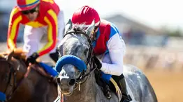 “El Tio” Bob Baffert tiene siete candidatos para las 14 carreras de las Breeders’ Cup