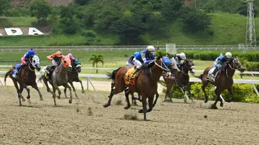 Descubre el dato más corrido que participa en la segunda válida y prepárate para ganar Descubre el dato más corrido que participa en la segunda válida y prepárate para ganar