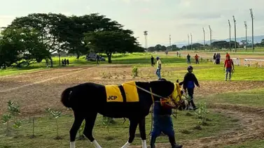 Datos de última hora para el Hipódromo Nacional de Valencia 11-10-2025 Datos de última hora para el Hipódromo Nacional de Valencia 11-10-2025