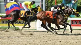 Aquí tienes una opción diferente de Premiado y Tower Star que te va a pagar un buen dividendo