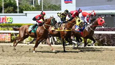 Datos de Última Hora para el Hipódromo La Rinconada 12-10-2025 Datos de Última Hora para el Hipódromo La Rinconada 12-10-2025