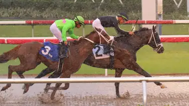 ¡Último minuto! Ha sido suspendida la jornada de este viernes en Gulfstream Park ¡Último minuto! Ha sido suspendida la jornada de este viernes en Gulfstream Park