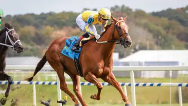 Mychel Sánchez consigue tremendo triunfo en el Maryland Million Day en Laurel Park Mychel Sánchez consigue tremendo triunfo en el Maryland Million Day en Laurel Park