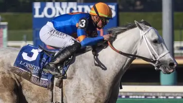 White Abarrio con paso firme hacia la Breeder’s Cup Dirt Mile White Abarrio con paso firme hacia la Breeder’s Cup Dirt Mile