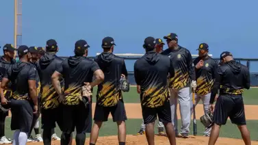 LVBP: ¿Cómo está la importación de Leones del Caracas tras los recientes inconvenientes? LVBP: ¿Cómo está la importación de Leones del Caracas tras los recientes inconvenientes?