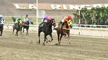 Con multa incluida: Jinete profesional sancionado en La Rinconada luego de celebrarse la reunión 39 Con multa incluida: Jinete profesional sancionado en La Rinconada luego de celebrarse la reunión 39