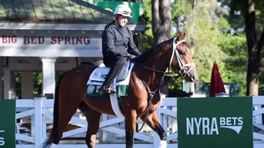 Journalism apodado como “El Gorila” dio mucho que hablar este fin de semana Journalism apodado como “El Gorila” dio mucho que hablar este fin de semana