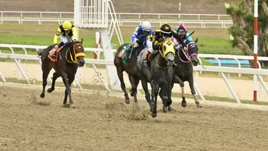 Yegua que en el papel luce muy superior regresa a la pista y con nuevo entrenador Yegua que en el papel luce muy superior regresa a la pista y con nuevo entrenador