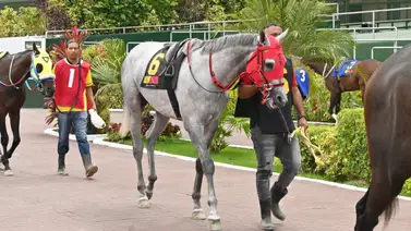Debut de altos vuelos: A la acción la hija de un ganador del Clásico Simón Bolívar Debut de altos vuelos: A la acción la hija de un ganador del Clásico Simón Bolívar