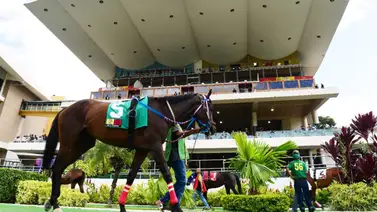 La revancha esperada: Reaparece la importada de gran pedigrí tras una larga pausa en La Rinconada La revancha esperada: Reaparece la importada de gran pedigrí tras una larga pausa en La Rinconada