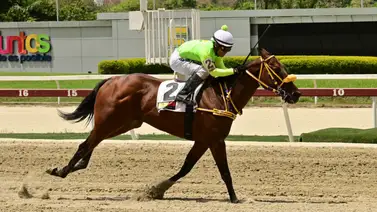 Debuta un medio hermano de la ganadora selectiva Four Palms Queen que trae trabajos muy cómodos en La Rinconada Debuta un medio hermano de la ganadora selectiva Four Palms Queen que trae trabajos muy cómodos en La Rinconada